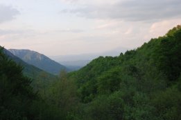DSC2 (76).jpg